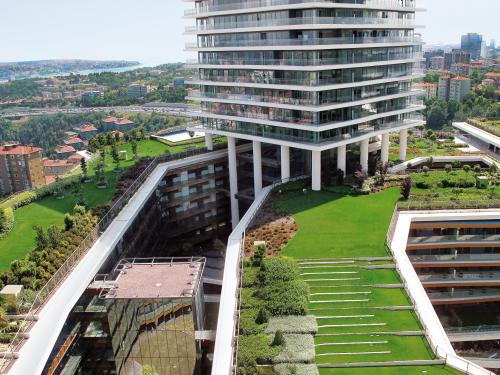 Roof garden in the city